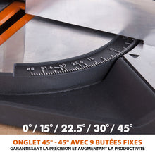 Scie à onglet 210mm Evolution R210CMS avec lame multi-matériaux TCT (GRADE C)