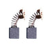 2x Balais de charbon pour Evolution R255SMS / R255SMS+